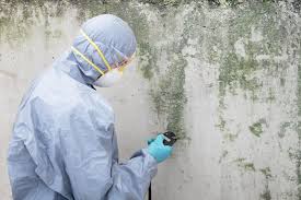 Trusted Carrollton, OH Mold Removal & Remediation Experts